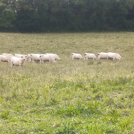 La Grand Cour Nyaraló *